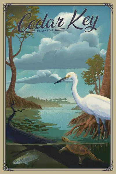 White Heron at Cedar Key, FL