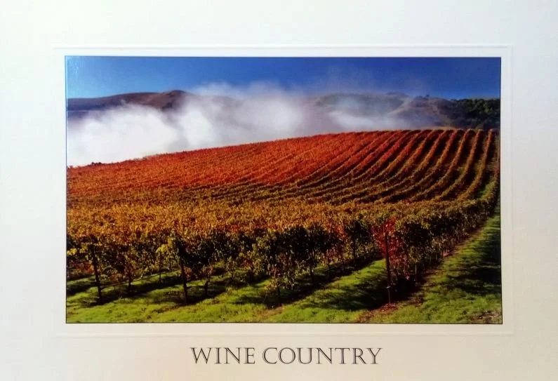 Low Clouds in Napa Valley