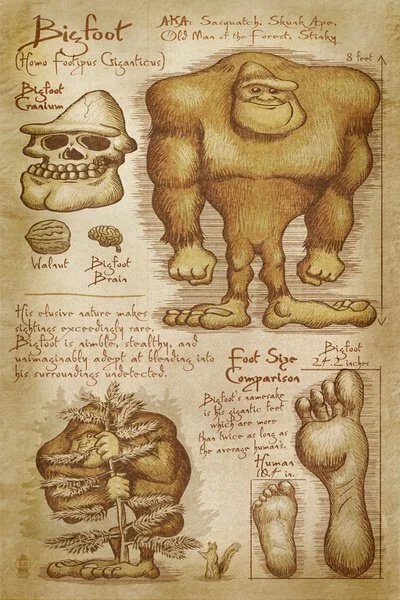 da Vinci Style Bigfoot/Skunk Ape