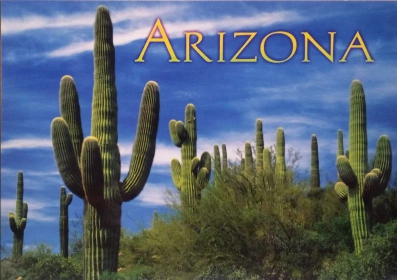 Typical Postcard of Arizona