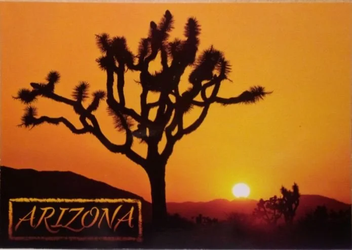 Majestic Sunshine in Arizona