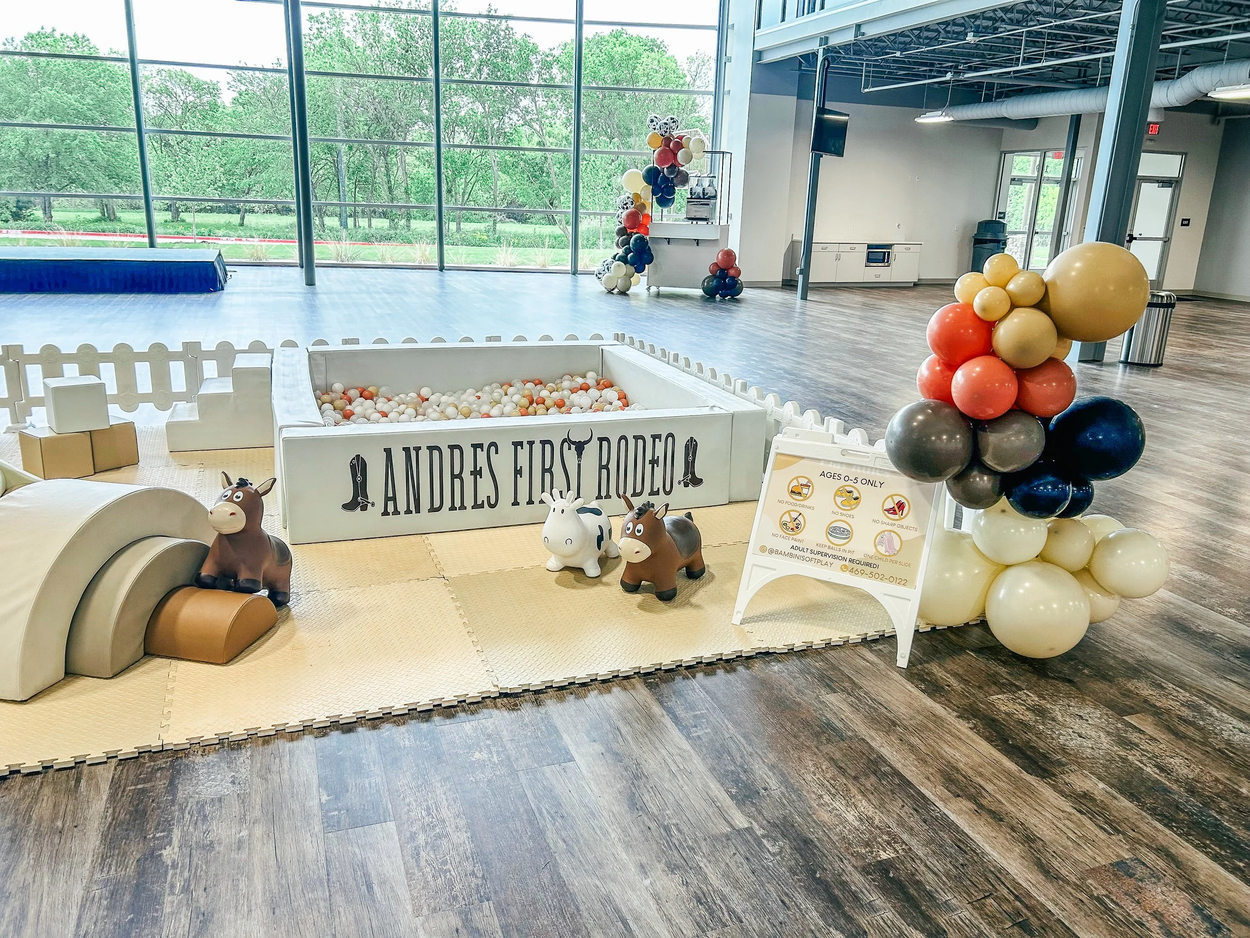 birthday ball pit-2.jpg