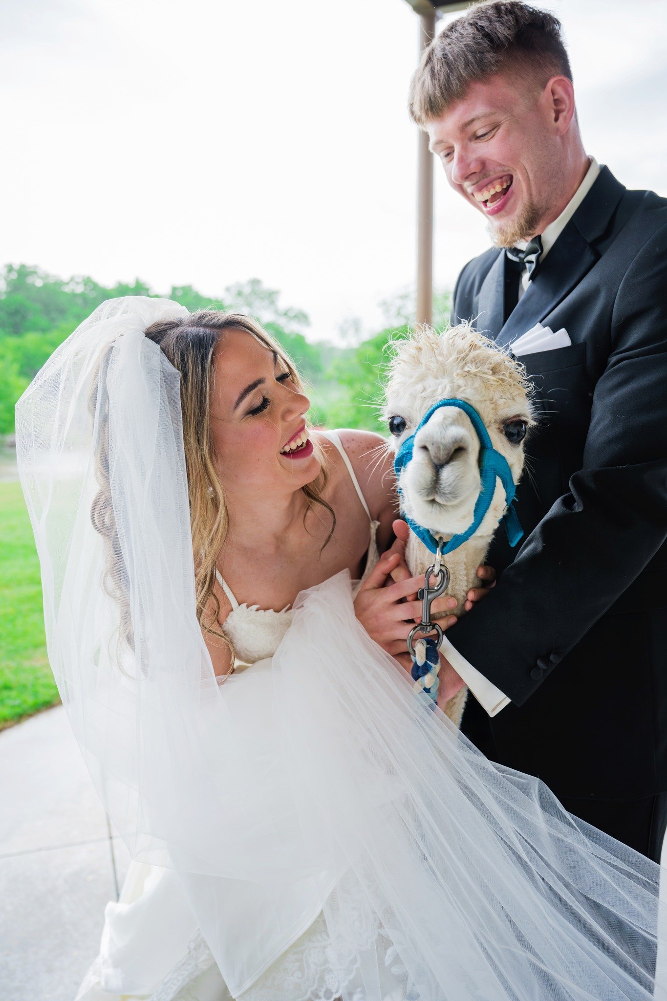 495382563_1200069962130832_9126870295039877439_n (2).jpg