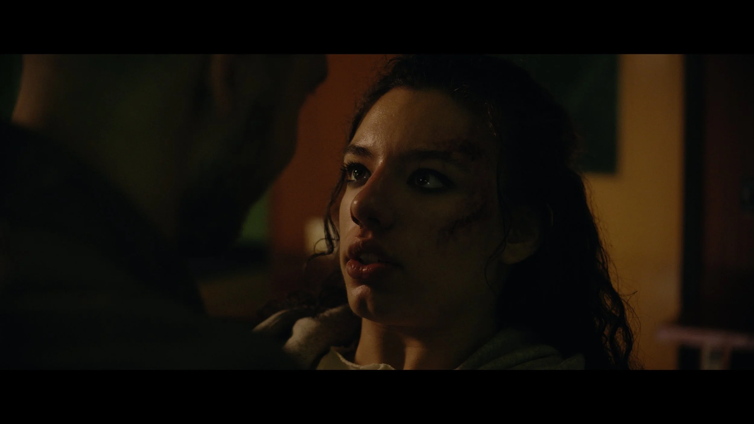 Still 2026-02-22 210920_1.1.23 2.jpg