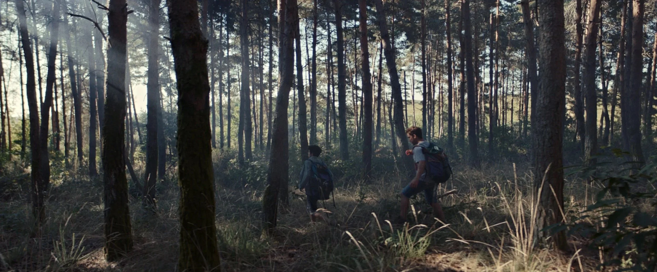 Two people carrying backpacks hiking through a forest with tall trees and sunlight filtering through the branches.