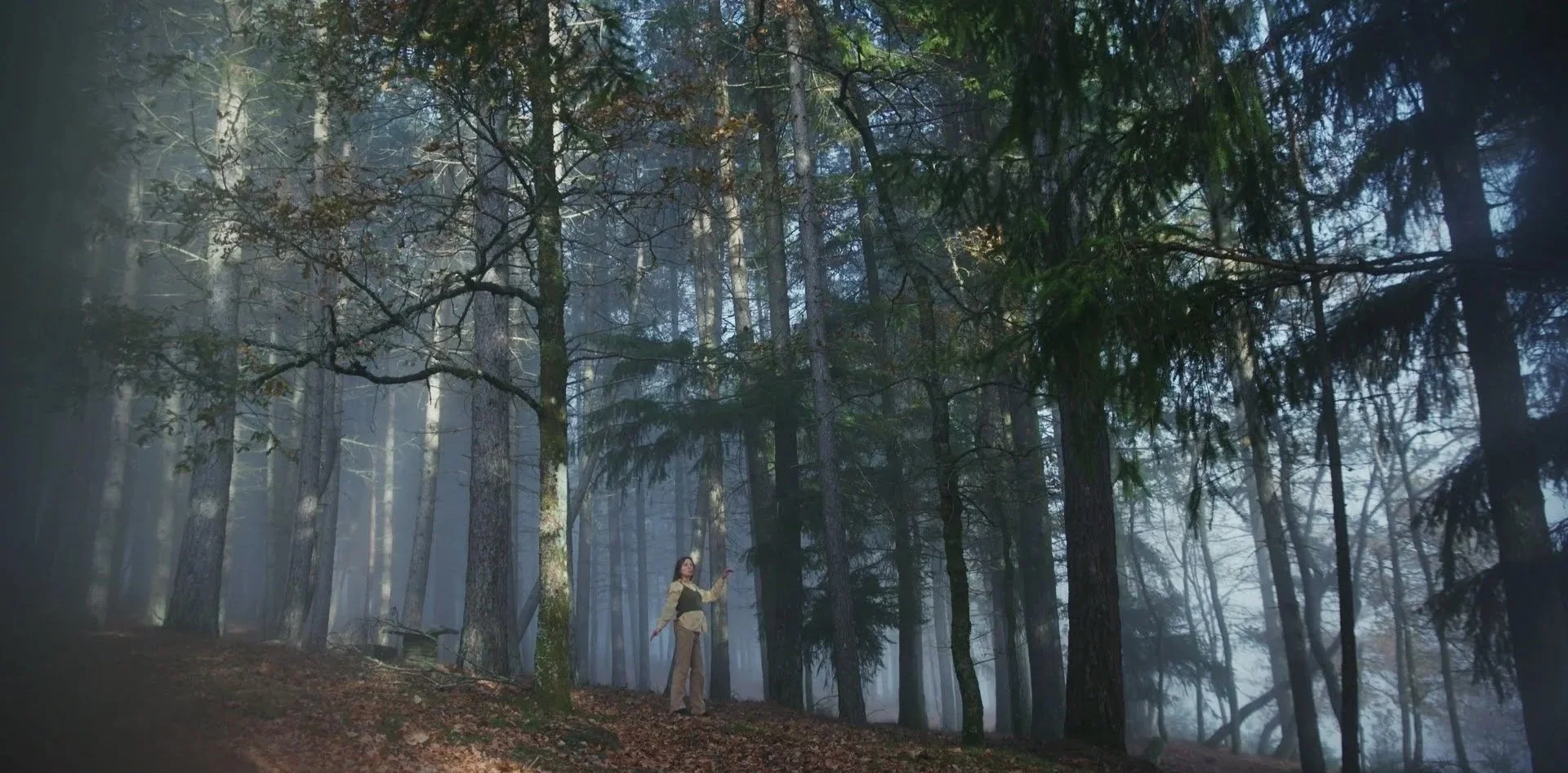 A woman standing in a foggy forest with tall trees and a carpet of leaves on the ground.