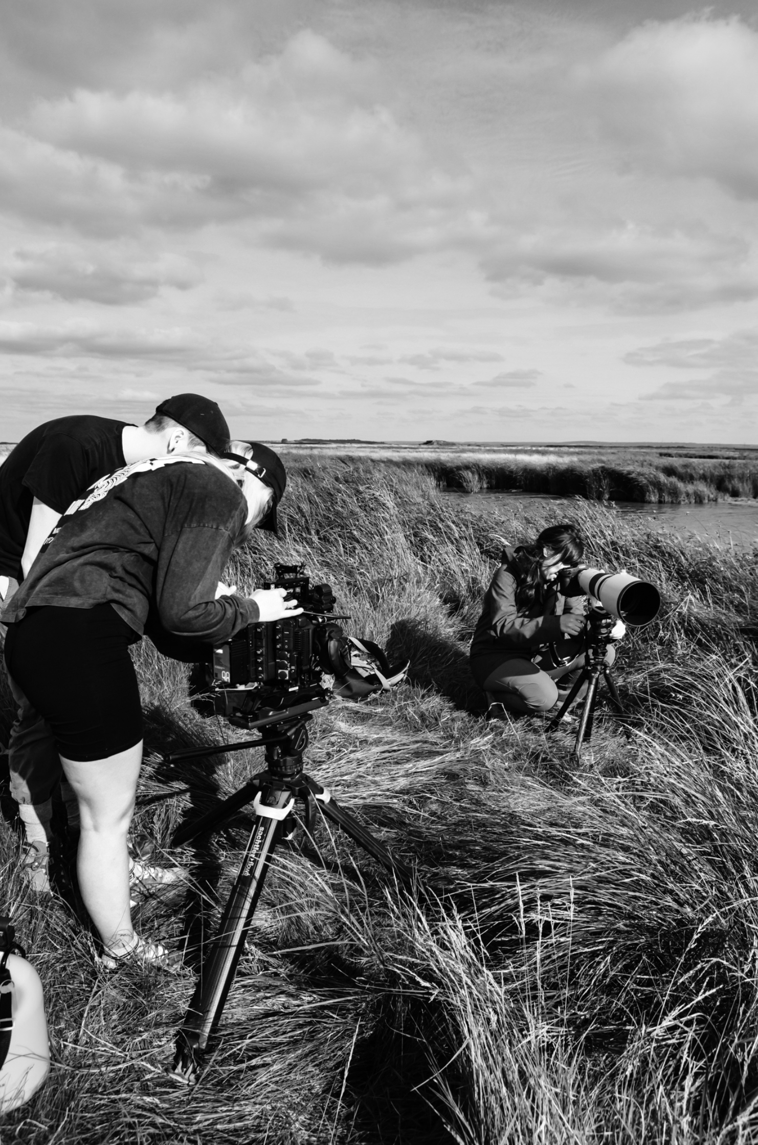 Group of three people filming nature scene with cameras on tripods in a grassy marshland under a partly cloudy sky.