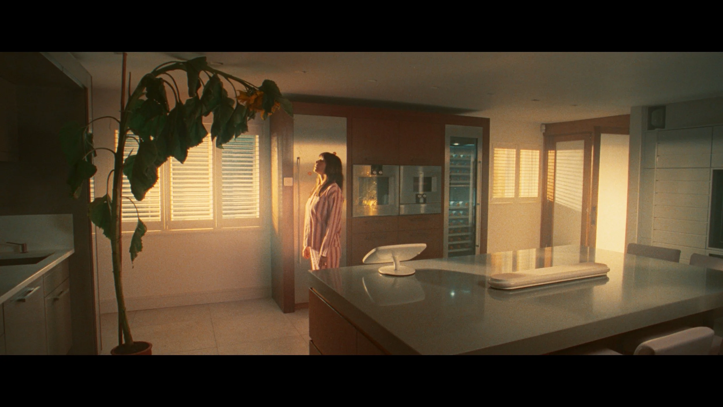 Still 2026-03-11 095250_1.203.1.jpg