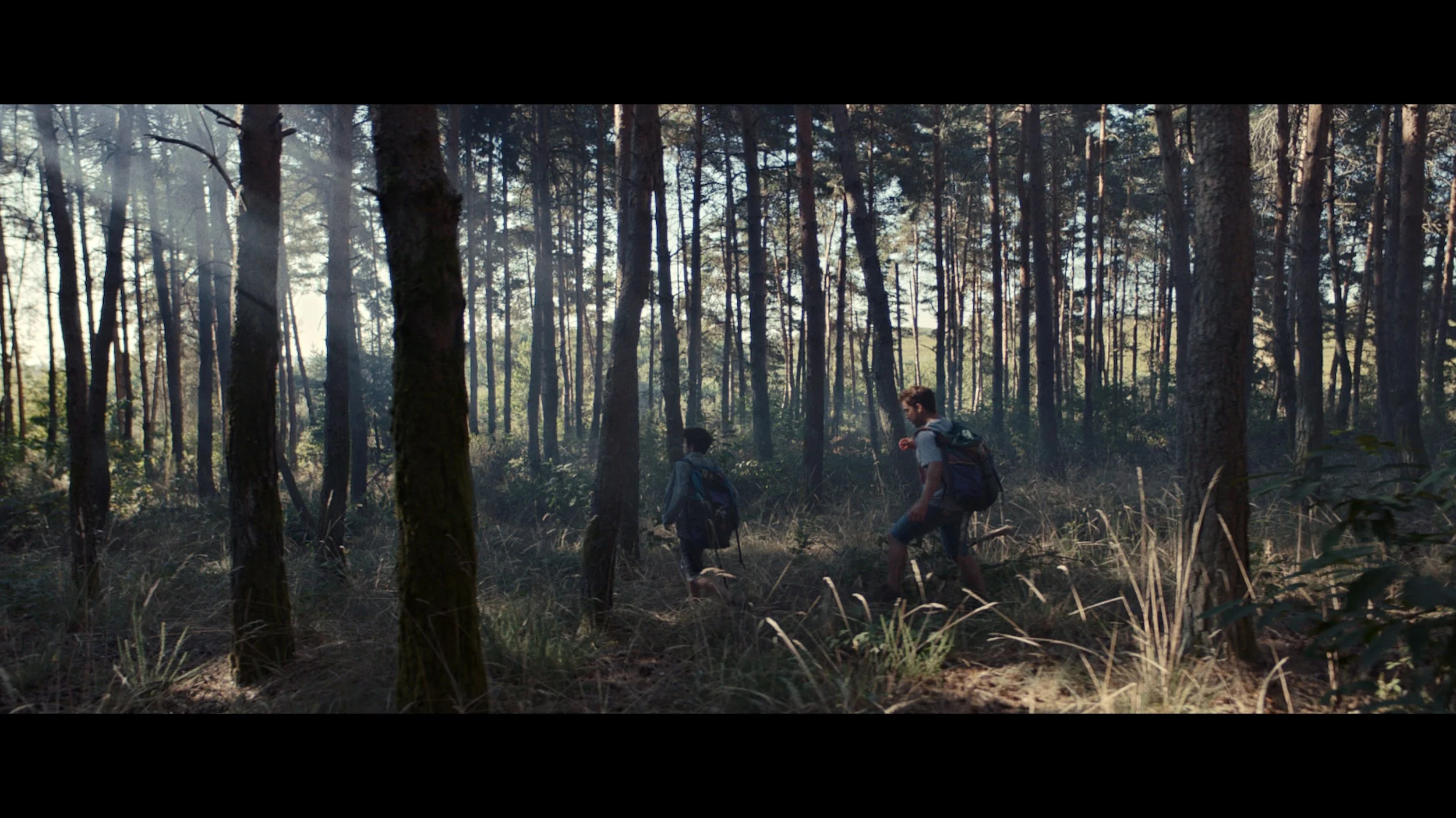 Still 2025-11-24 163234_1.103.16.jpg