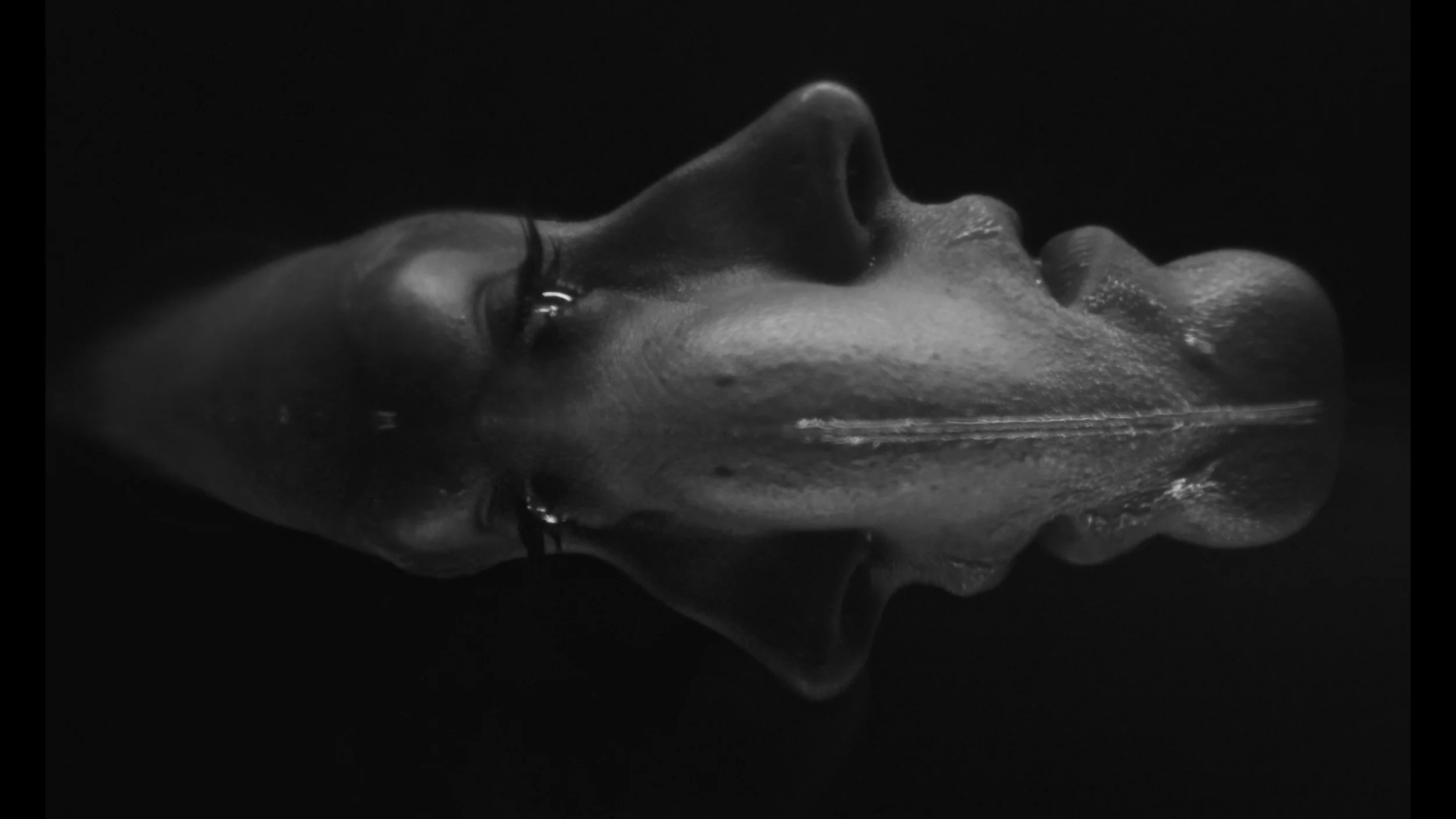 Still 2026-03-11 130432_1.51.1.jpg