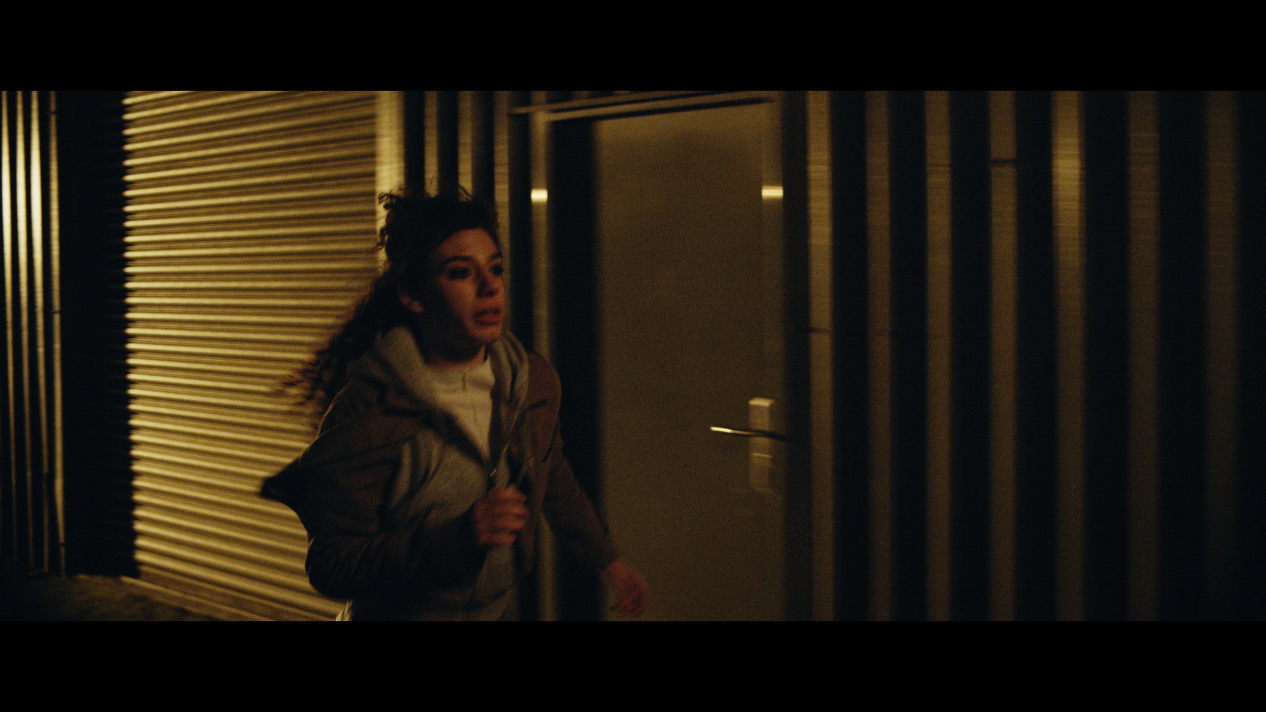 Still 2026-02-22 210920_1.1.39.jpg