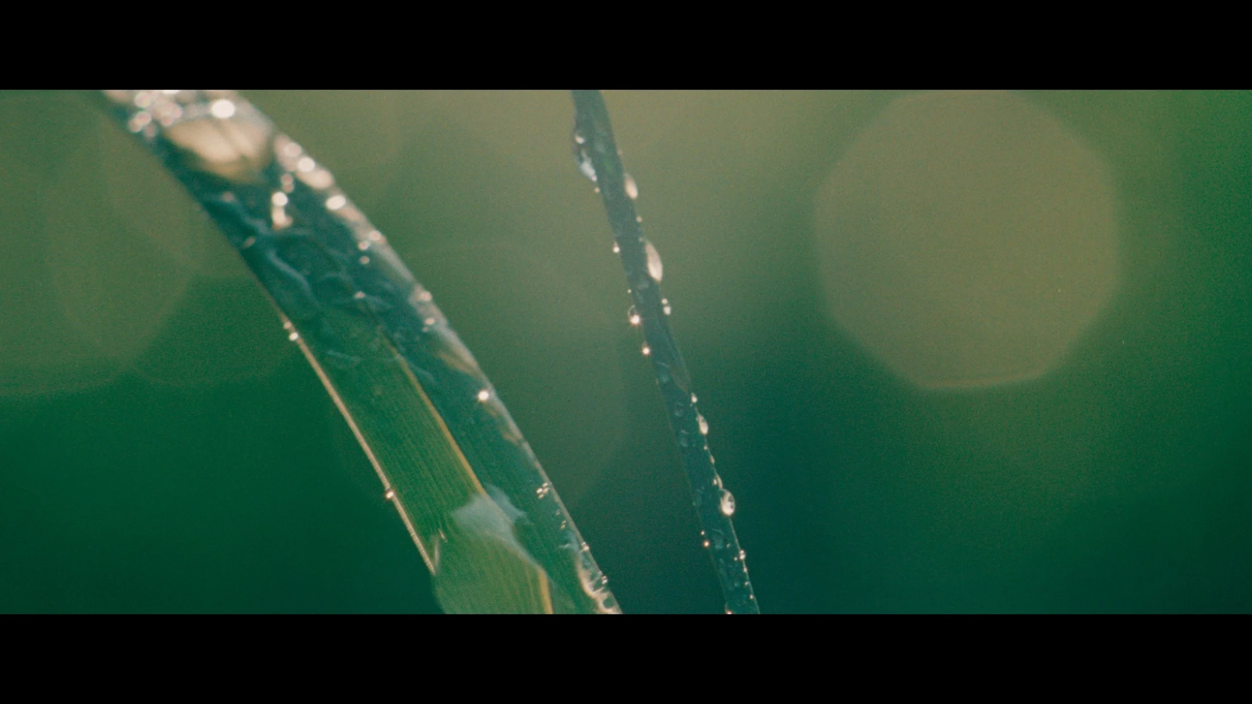 Still 2026-02-23 220803_1.1.27.jpg