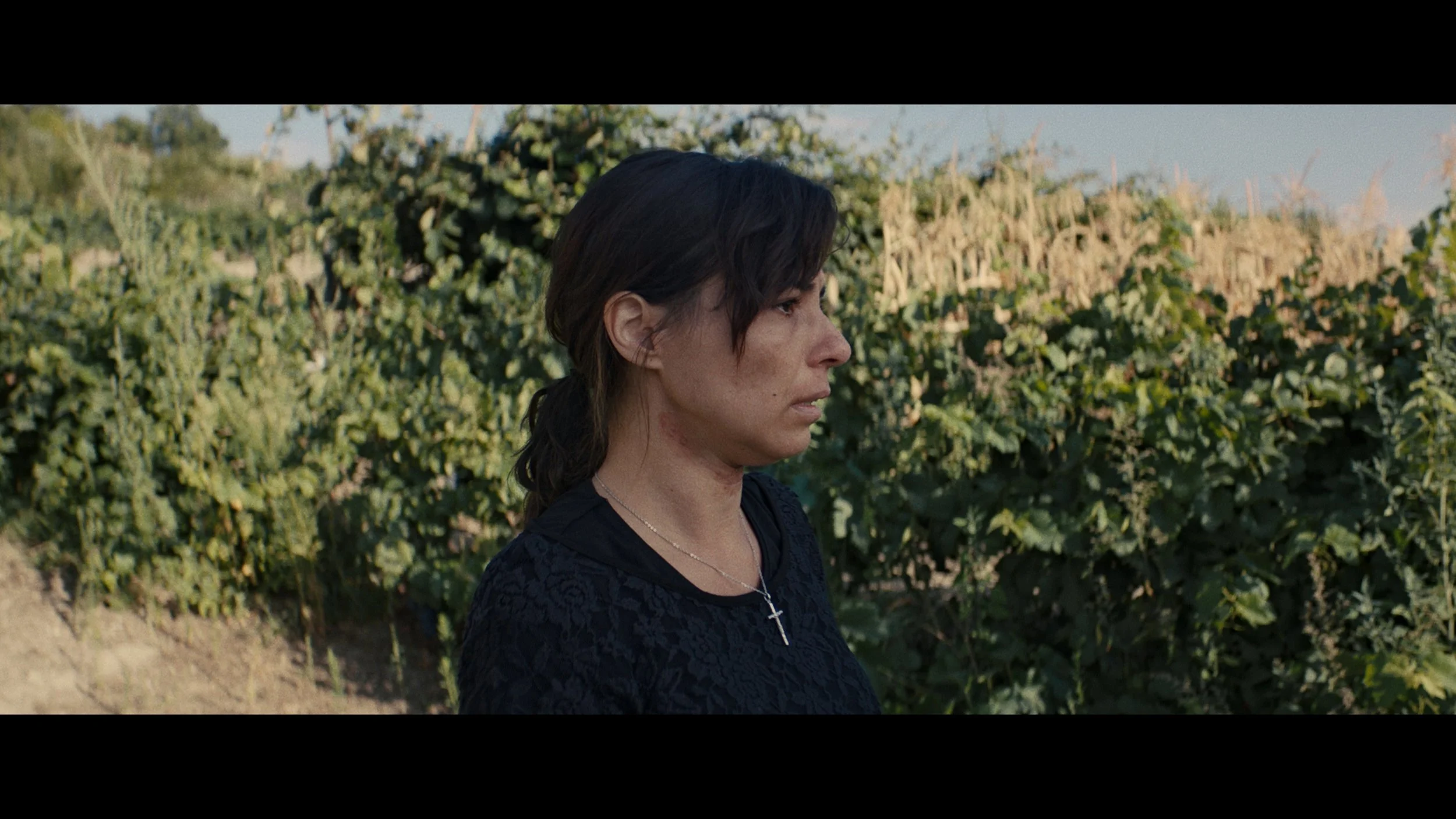 Still 2025-11-24 163234_1.103.64.jpg