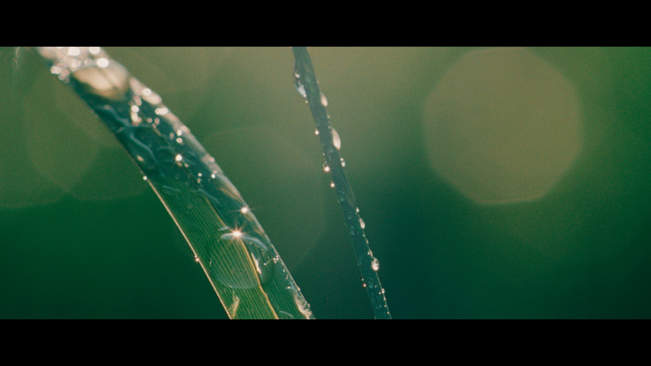 Still 2026-03-11 095235_1.196.1.jpg