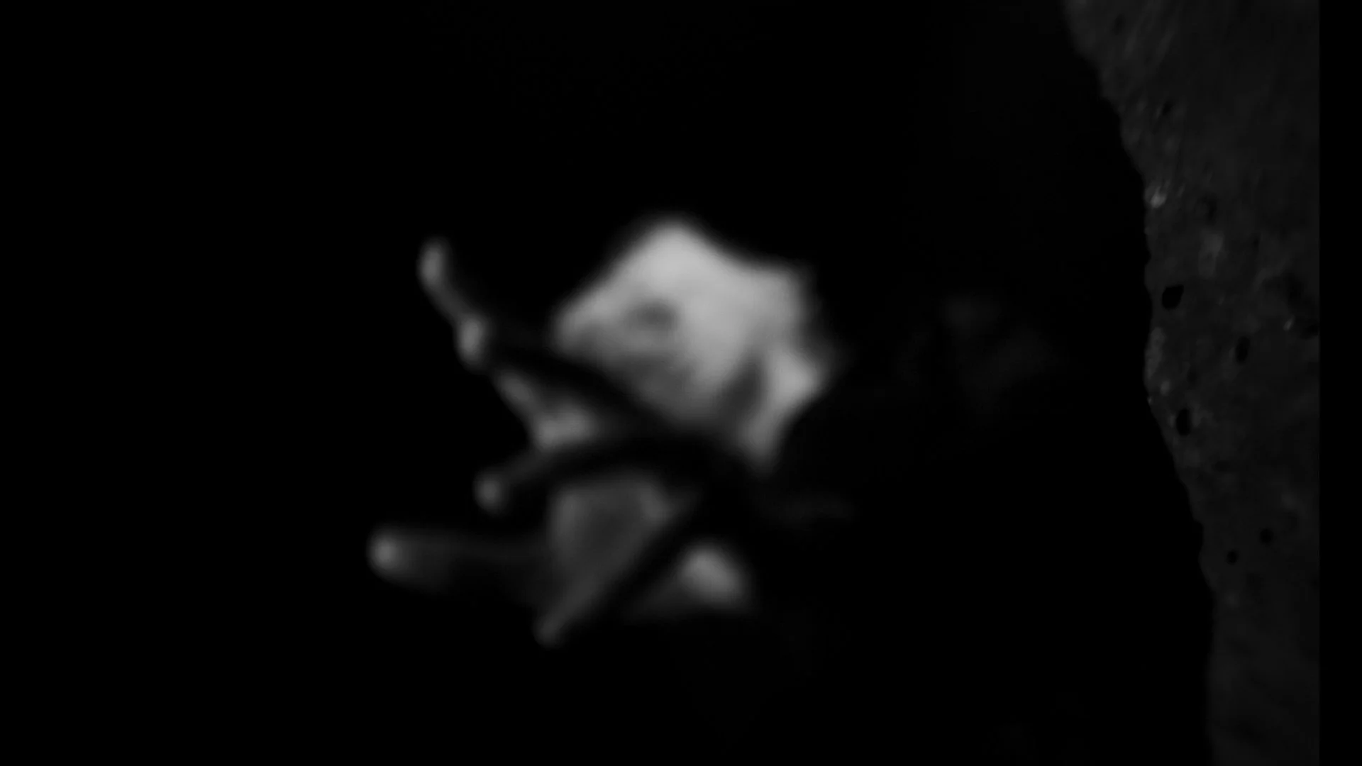 Still 2026-03-11 131825_1.57.1.jpg