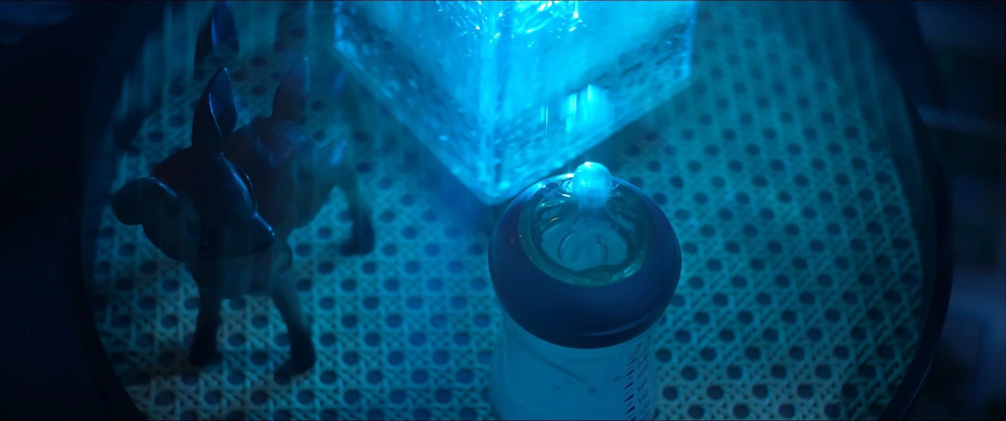 Still 2026-03-01 175245_1.34.2.jpg