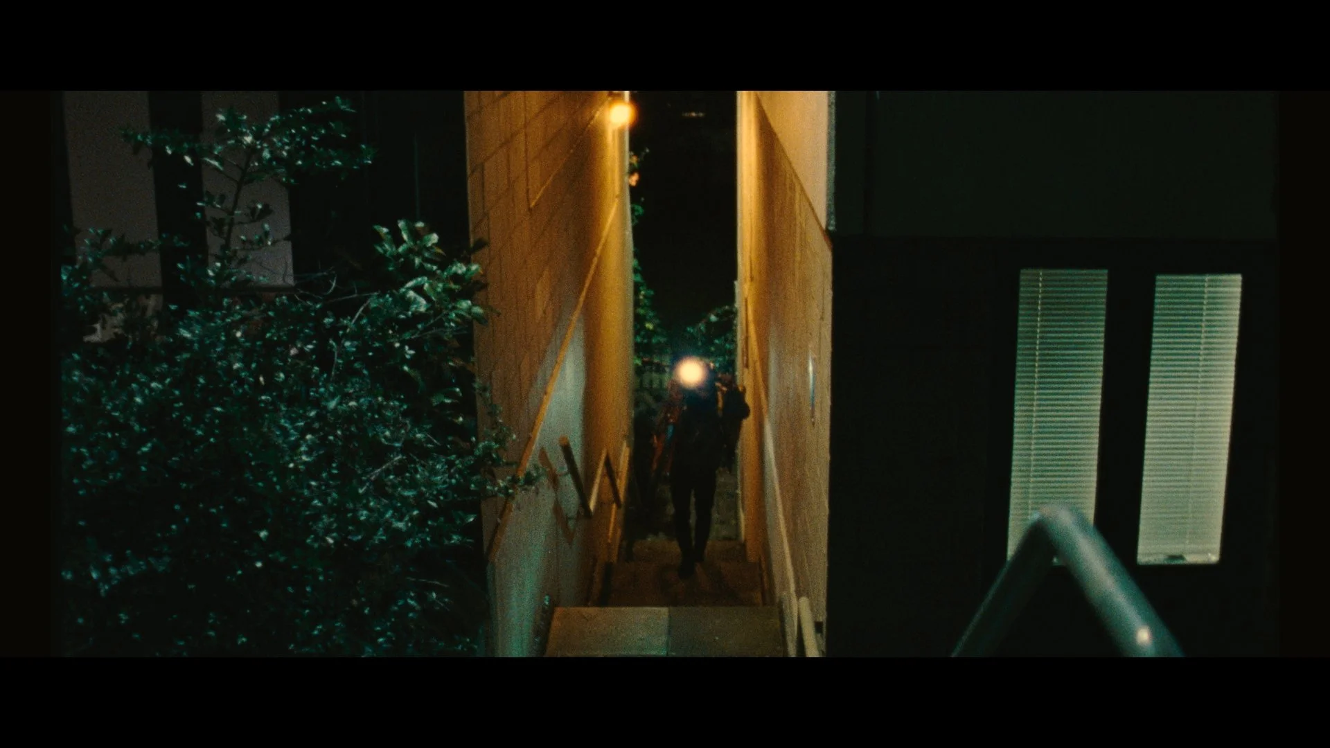 Still 2026-03-01 172511_1.27.1.jpg