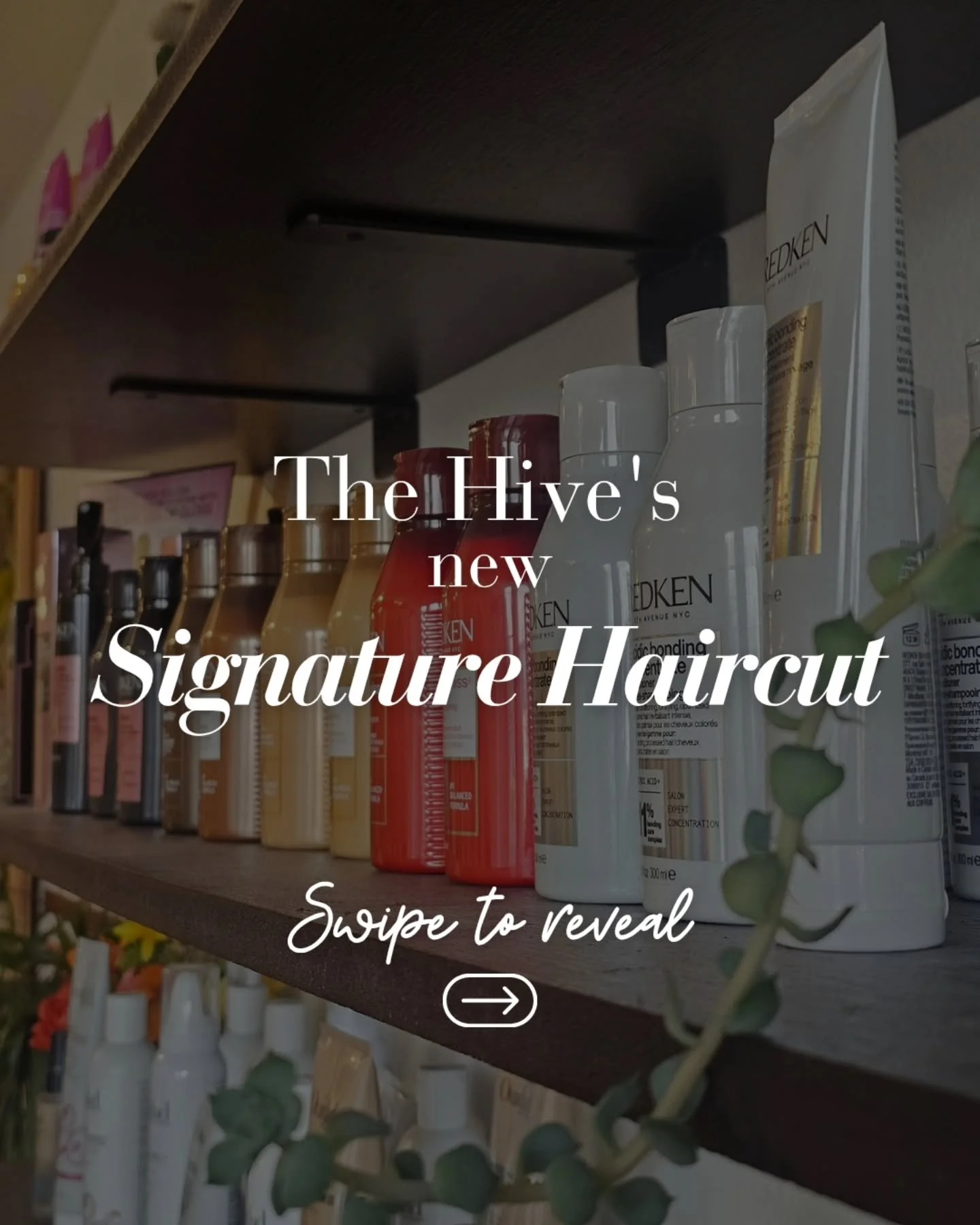 Cant decide between a pixie, bob or mid length cut?
... why decide when you can have it all!! 

Now introducing The Hive's signature Three Layer Curly Cut 🤭😉

............. April Fools! We wouldn't dare