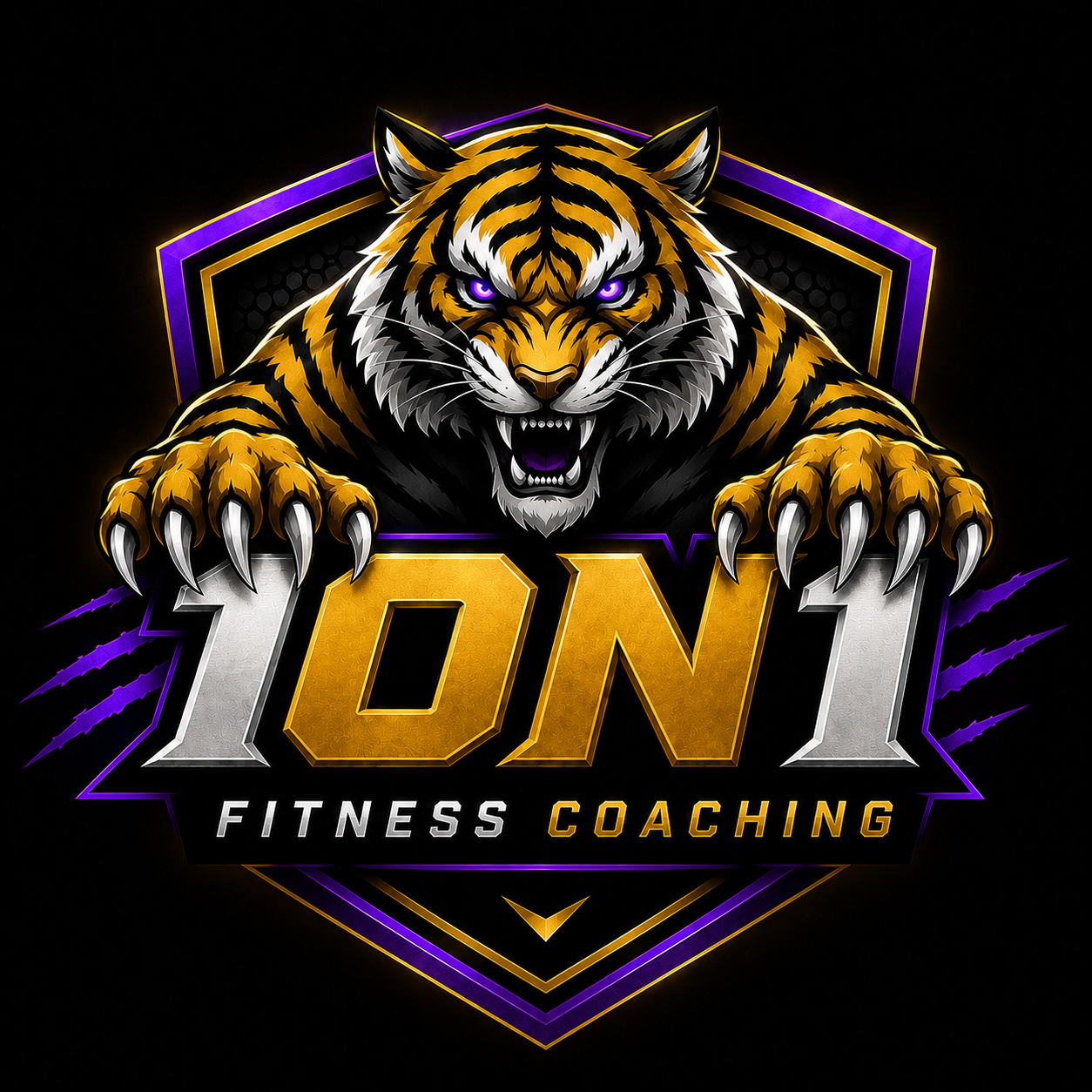 1-on-1 Fitness Coaching