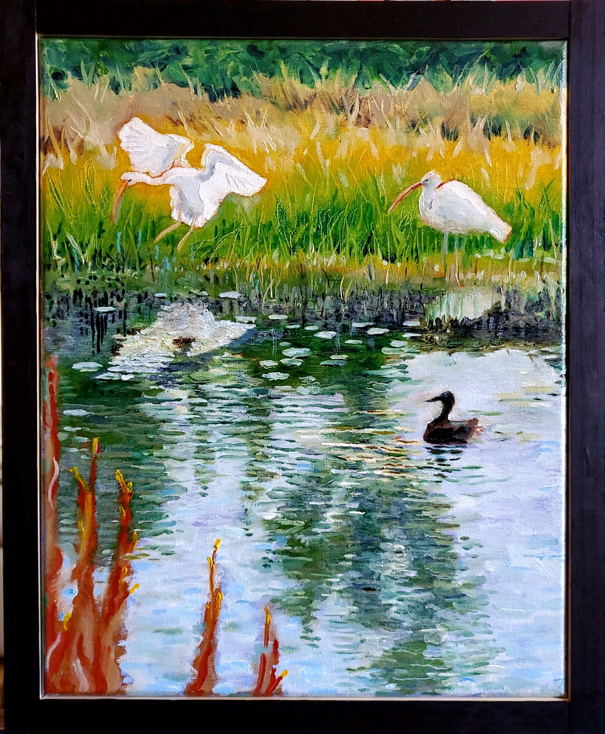 Ibis and Cormorant