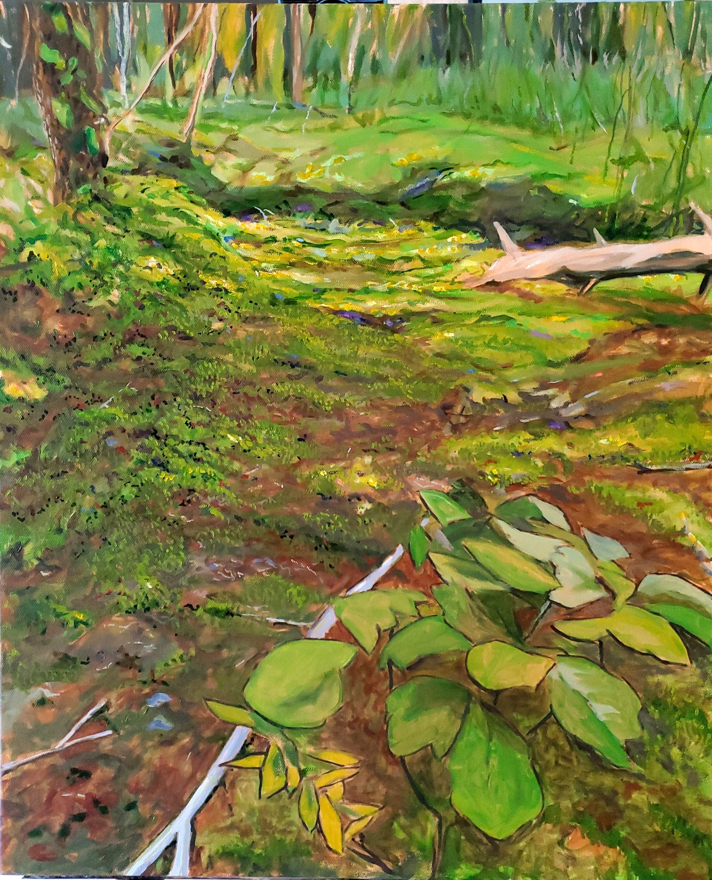 Walk in Settlers Cabin Park
