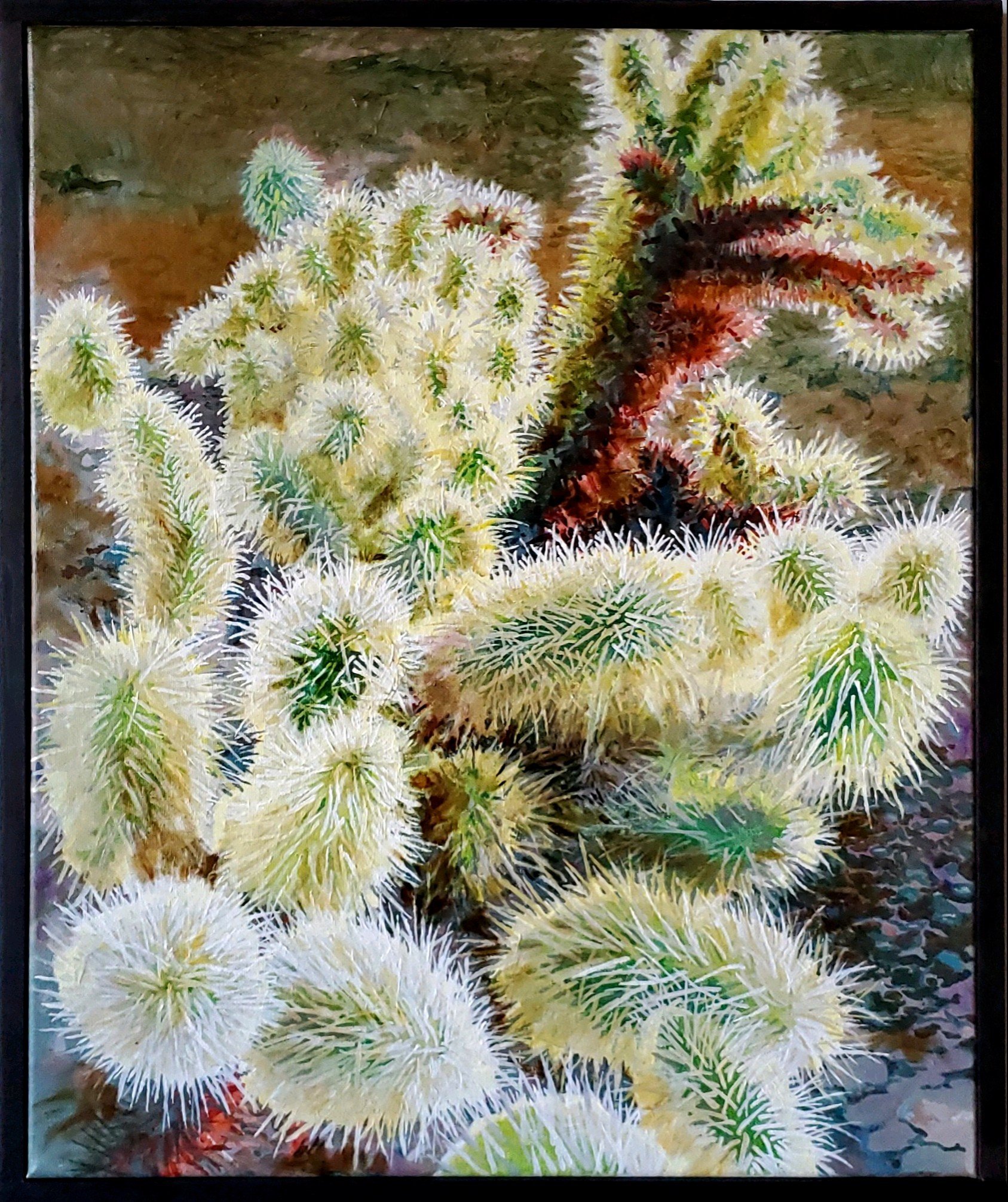 Cholla (Jumping) Cactus