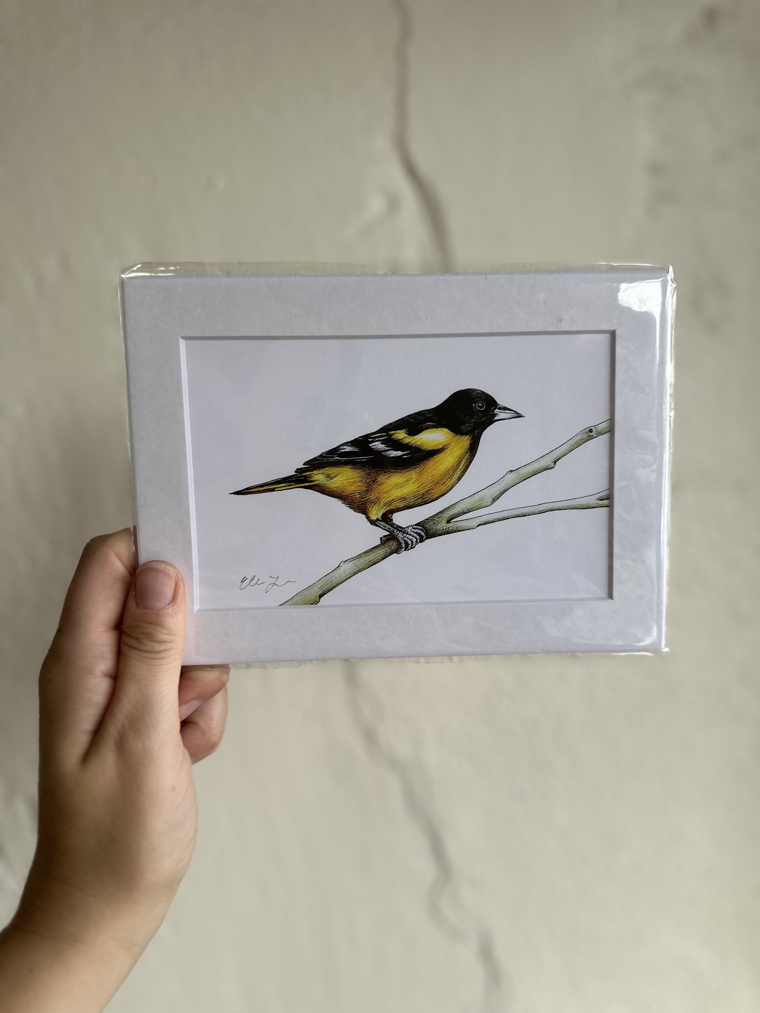 Elena Johnson Print