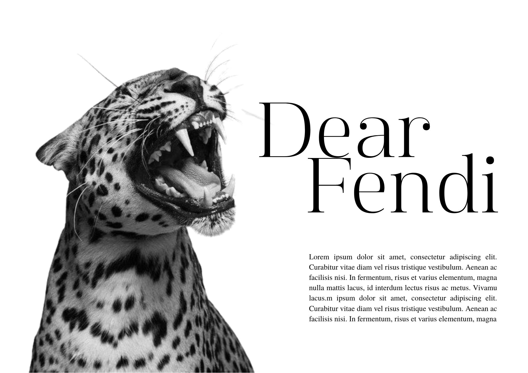Selin Ansaldo Mini Creative Portfolio (1).png