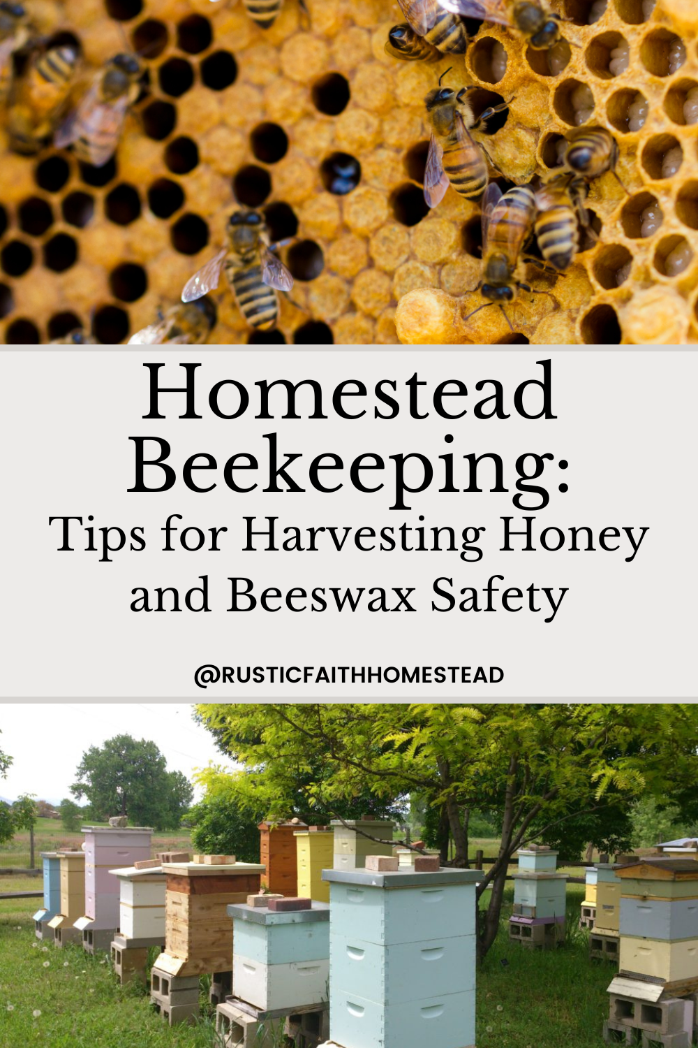Homestead Beekeeping: Tips for Harvesting Honey and Beeswax Safety