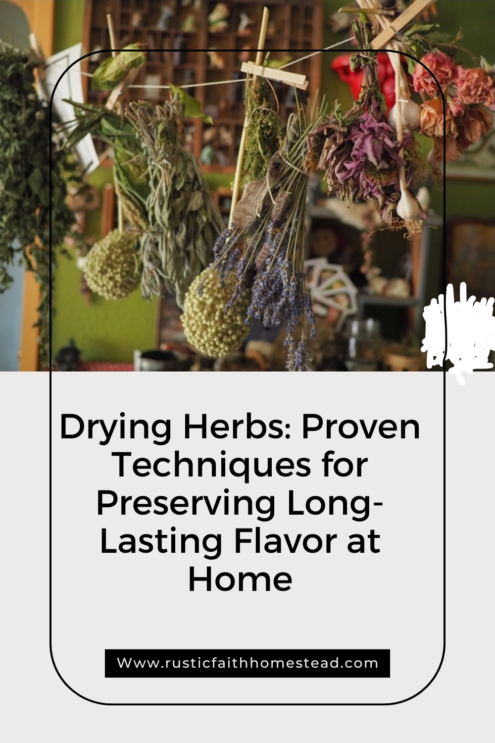 Drying Herbs: Proven Techniques for Preserving Long-Lasting Flavor at Home