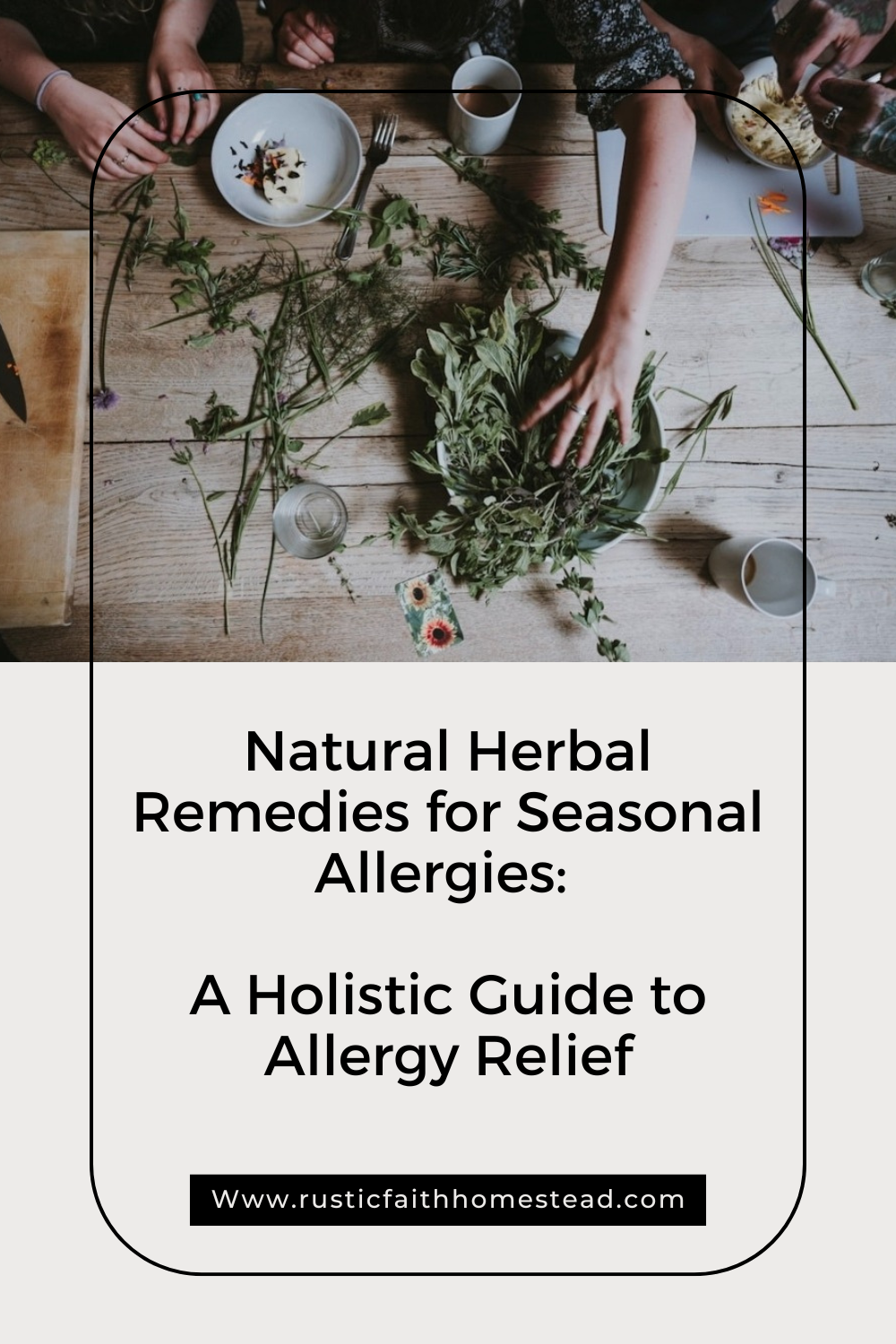 Natural Herbal Remedies for Seasonal Allergies: A Holistic Guide to Allergy Relief