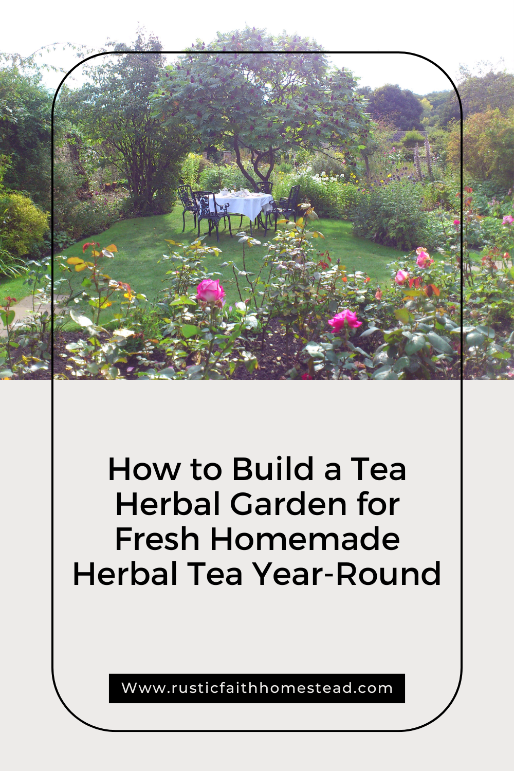 How to Build a Tea Herbal Garden for Fresh Homemade Herbal Tea Year-Round