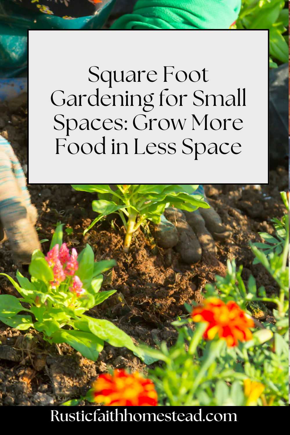 Square Foot Gardening for Small Spaces: Grow More Food in Less Space