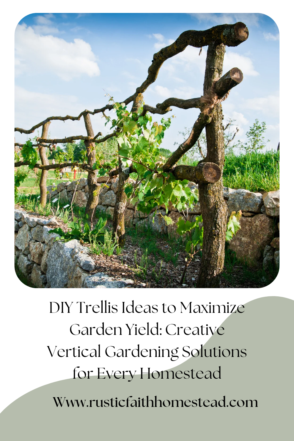 DIY Trellis Ideas to Maximize Garden Yield: Creative Vertical Gardening Solutions for Every Homestead