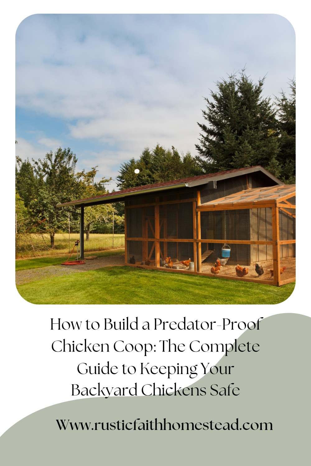 How to Build a Predator-Proof Chicken Coop: The Complete Guide to Keeping Your Backyard Chickens Safe