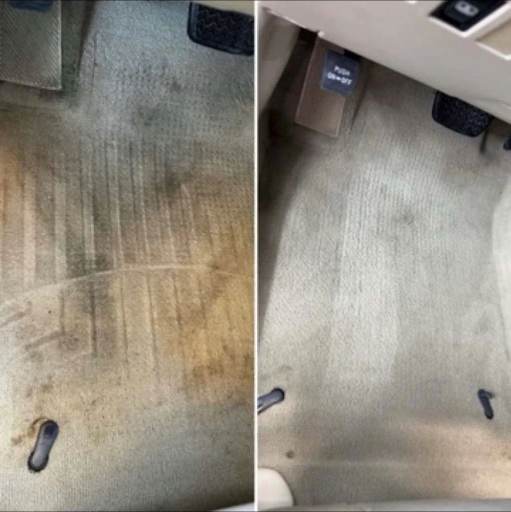 interior carpet 9.jpg