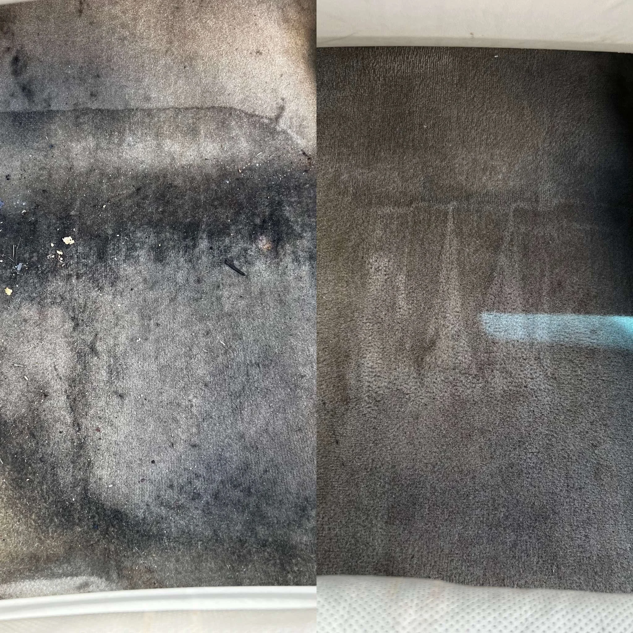 new carpet 4.jpg
