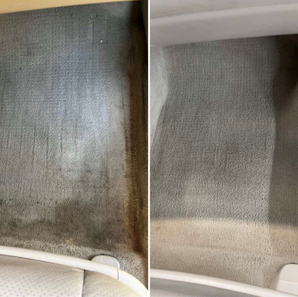 interior carpet 8.jpg