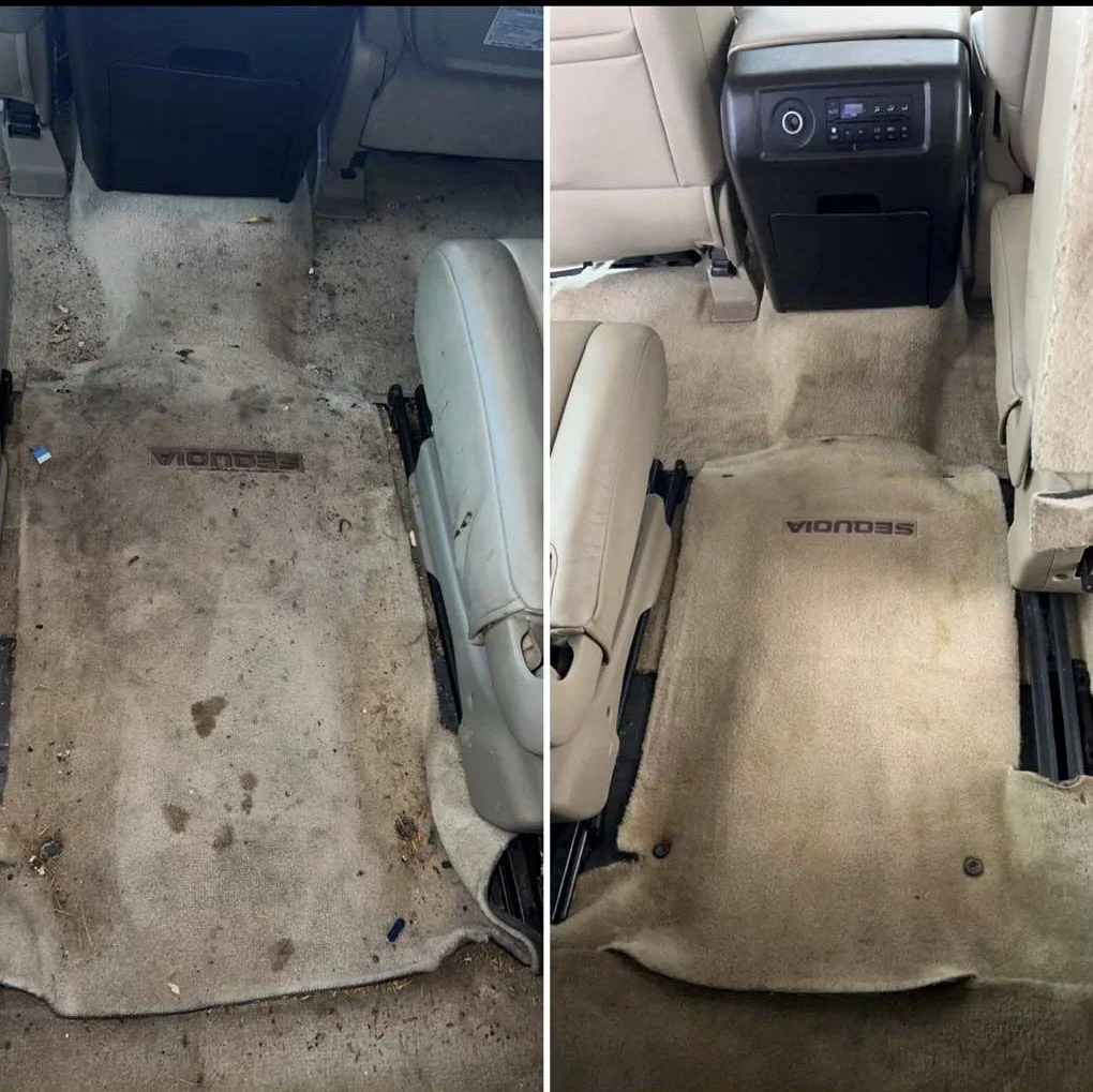 interior carpet 7.jpg