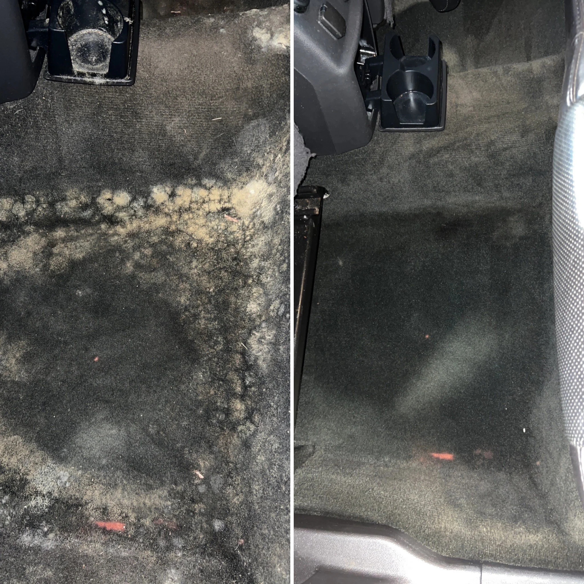 interior carpet 2.jpg