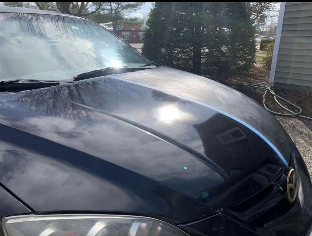 paint correction 7.jpg