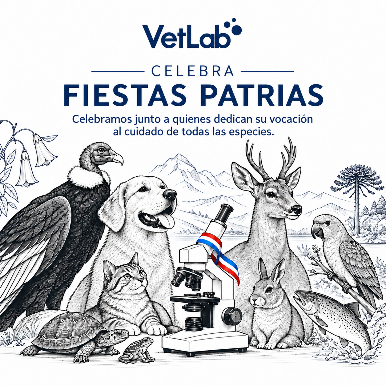 saludo 18-2026.png