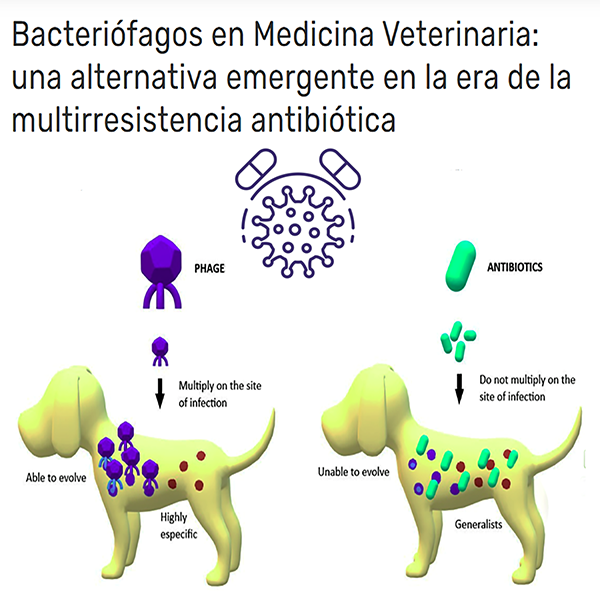 Proyecto colaborativo entre VetLab® y Vertebral® (Centro de Investigación, Desarrollo e innovación de COANIQUEM)