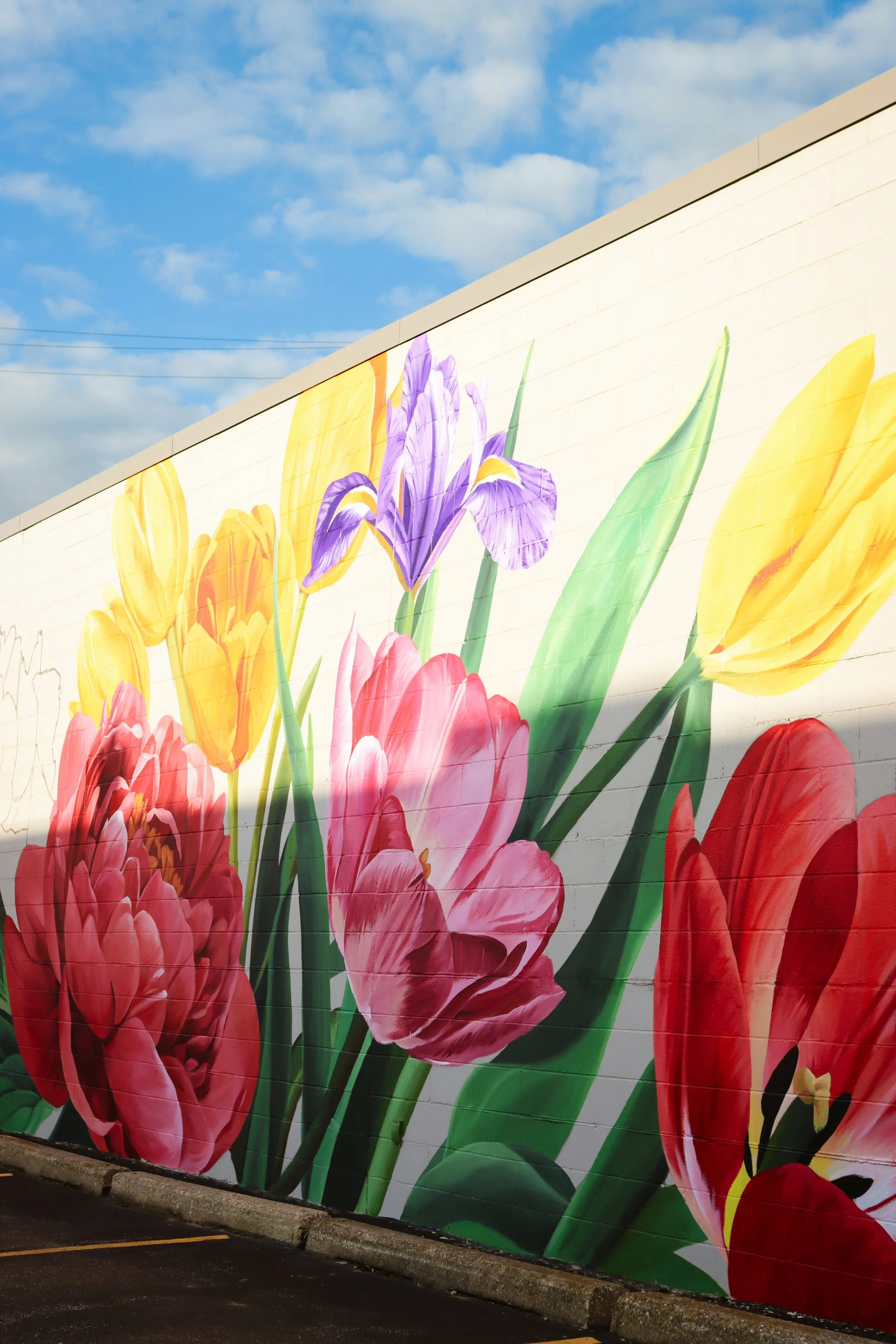 Photo060920250655015 (1).jpeg