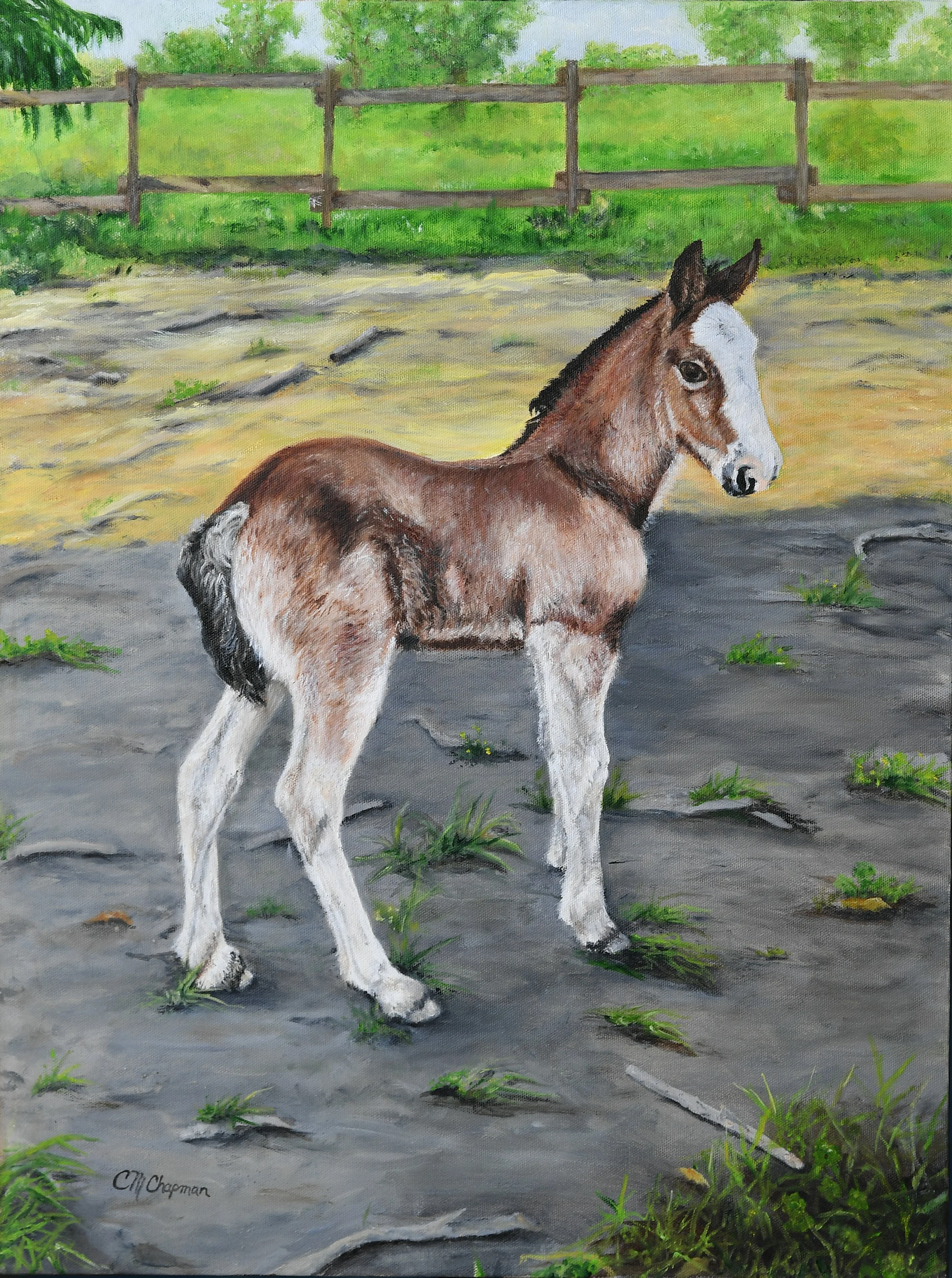 Devon, Oil on Canvas, wrapped
