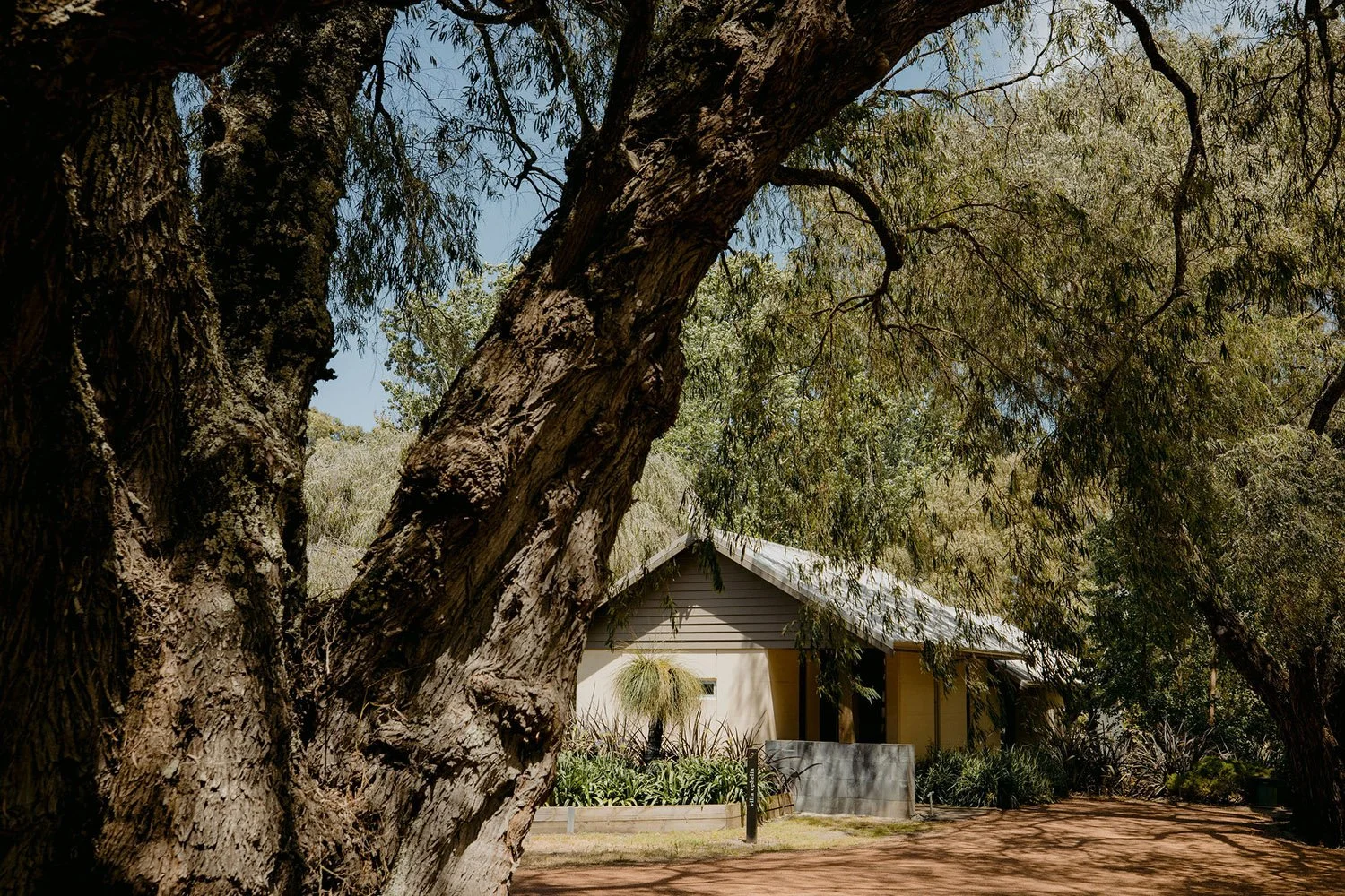 A villa with a metal roof surrounded by lush greenery and trees, casting shadows on the ground under clear blue sky.
