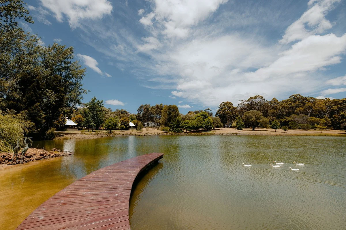 A lakeside scene with a curved wooden dock extending into the water, trees in the background, and three ducks swimming on the lake under a partly cloudy sky.