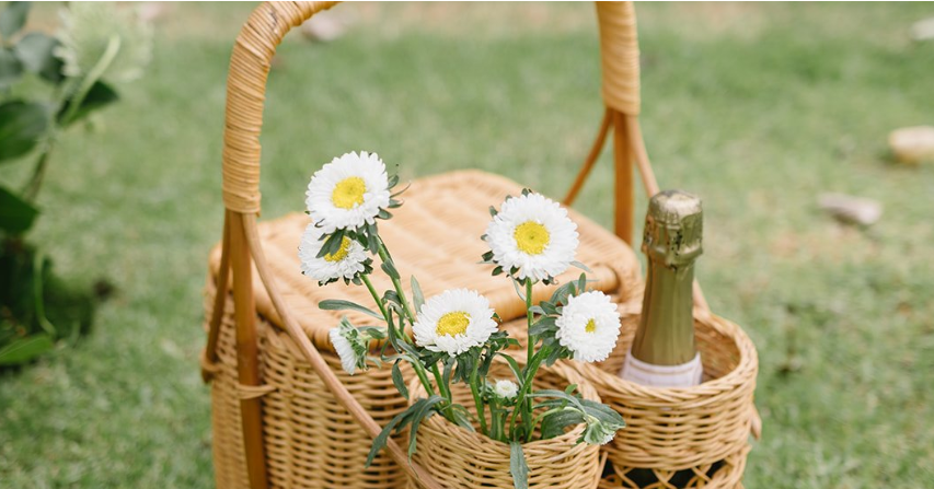 The Garden Picnic Proposal