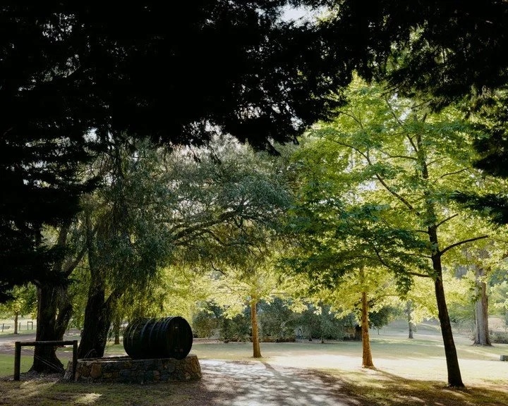 Losari, meaning &quot;the spirit of the trees&quot; 🌳

More than just a name&mdash;it's a reflection of the surroundings that make this retreat so special. Nestled among 66 acres of natural beauty in the heart of the Margaret River Region, each stay