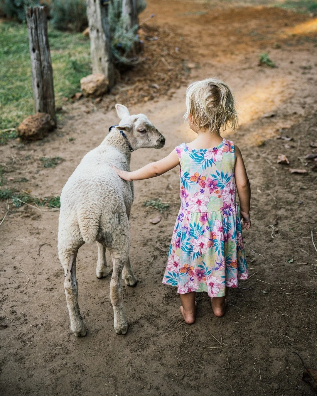 School holiday fun awaits!

Our spacious two-bedroom villas are perfect for families, and kids will absolutely love exploring Losari &mdash;especially making friends with our furry residents. 🐾

We have a very small amount of availability towards th